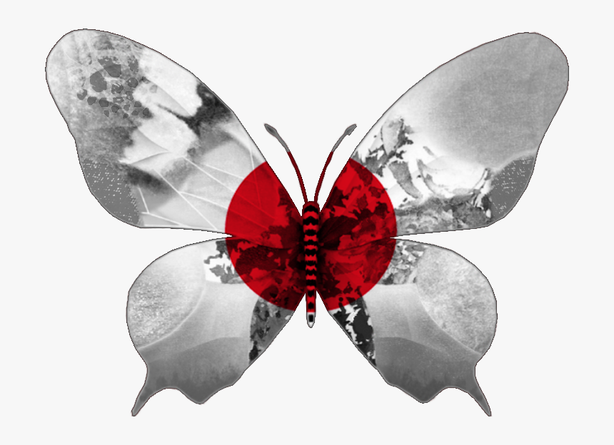 Butterfly .png, Transparent Png