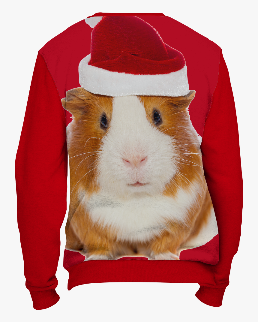 Christmas Guinea Pig Png, Transparent Png