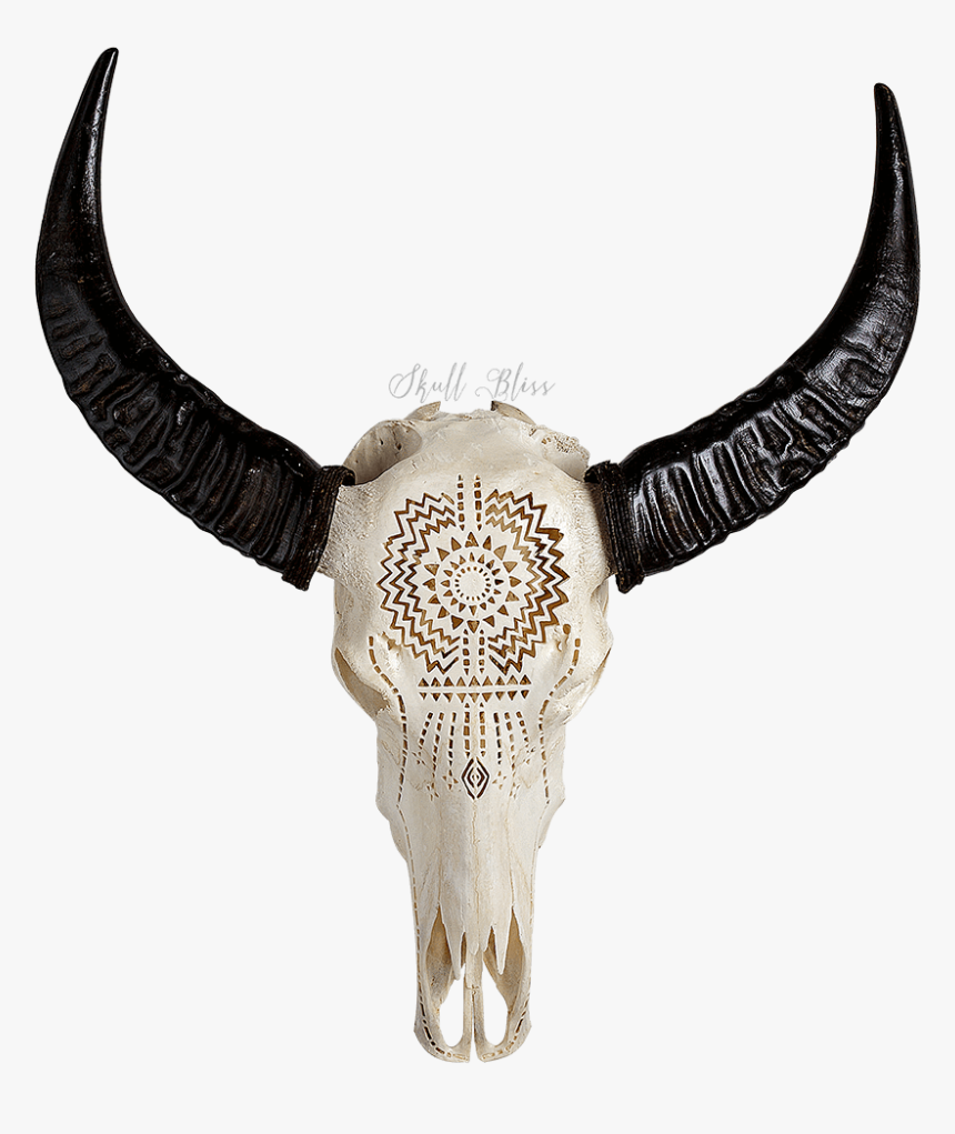 Buffalo Horn Png, Transparent Png
