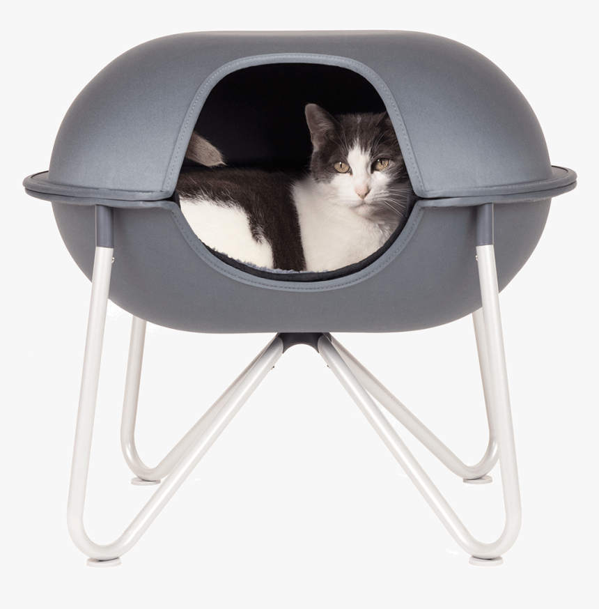 Happy Cat Png, Transparent Png