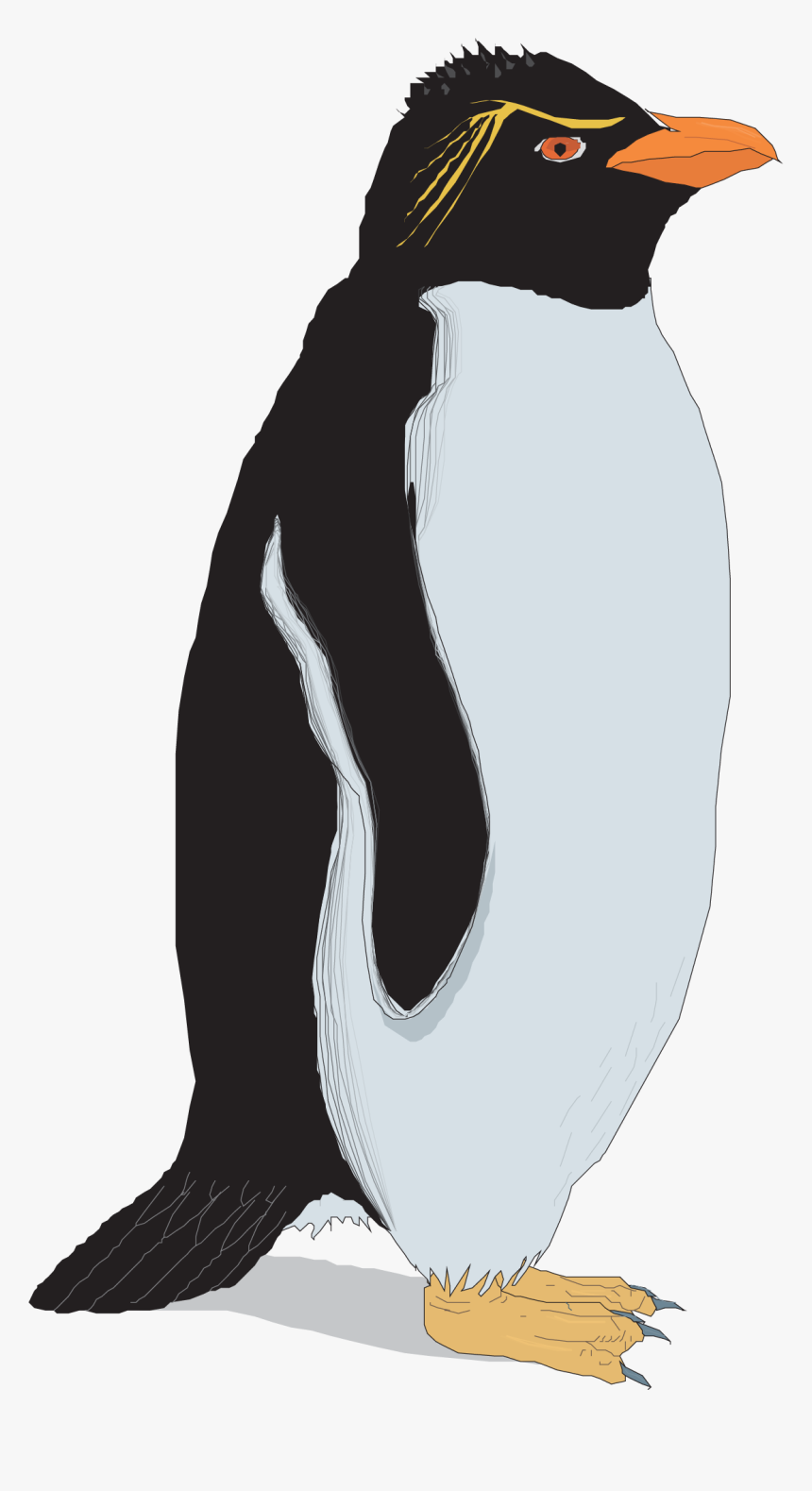Rockhopper Penguin Clip Art, HD Png Download