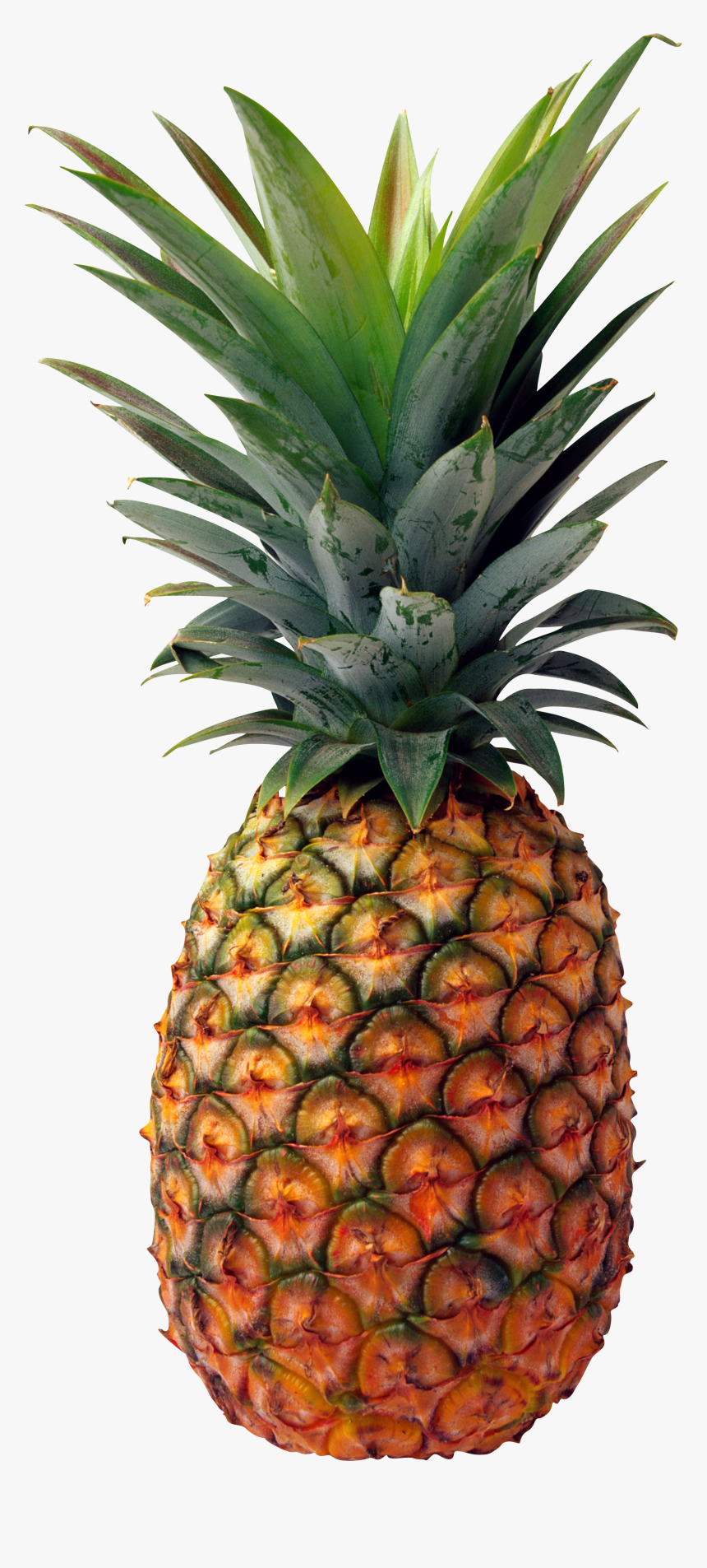 Transparent Pineapple Png, Png Download