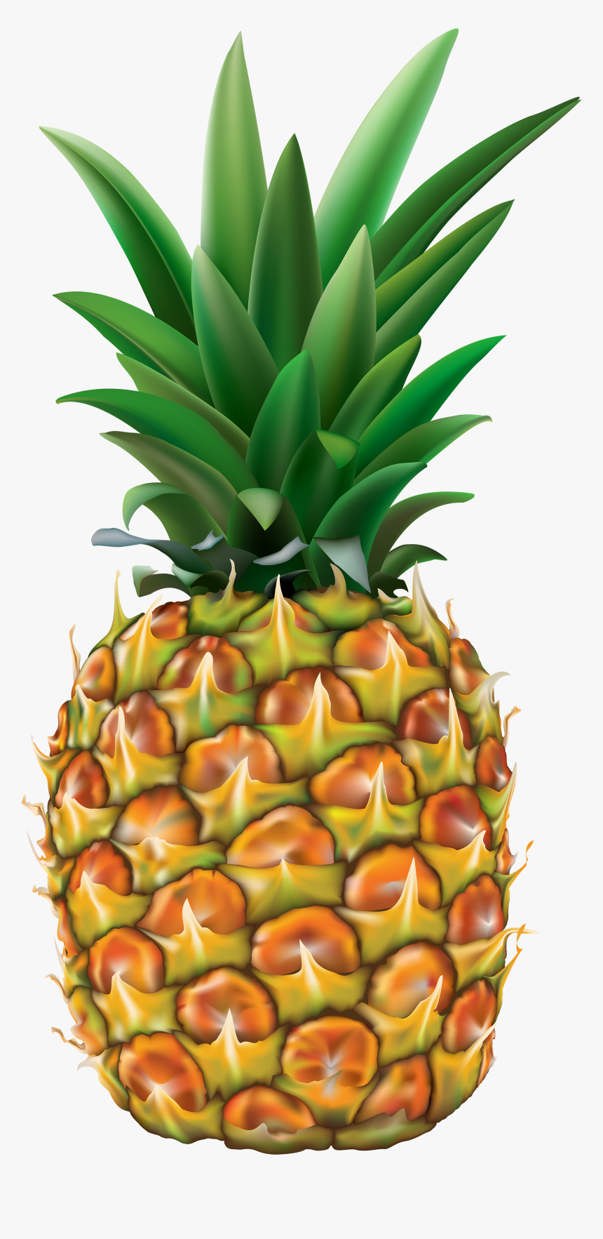 Pineapple Clipart Transparent Background Pencil And - Pineapple Clipart Transparent, HD Png Download