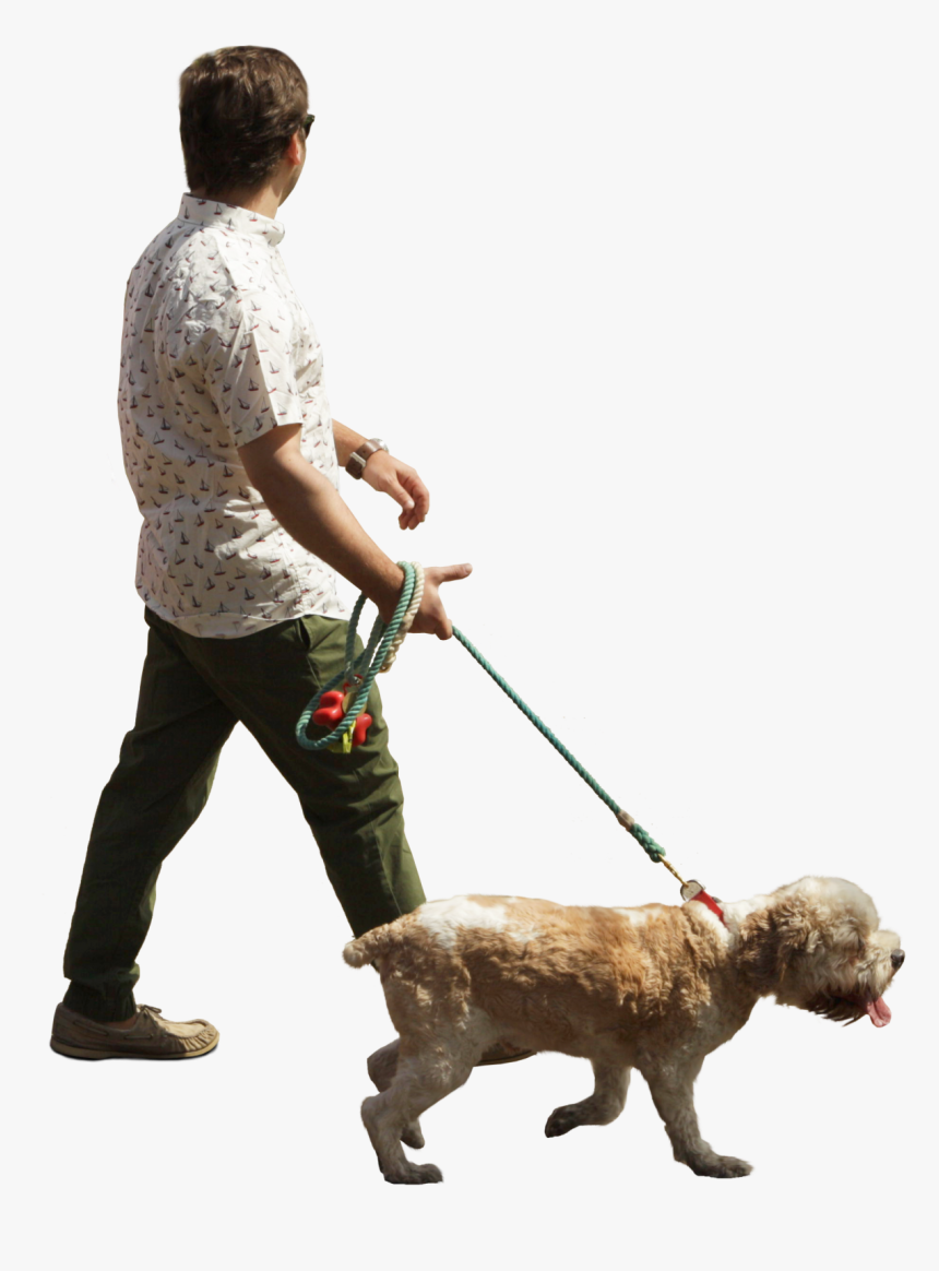 Person Walking Dog Cutout, HD Png Download