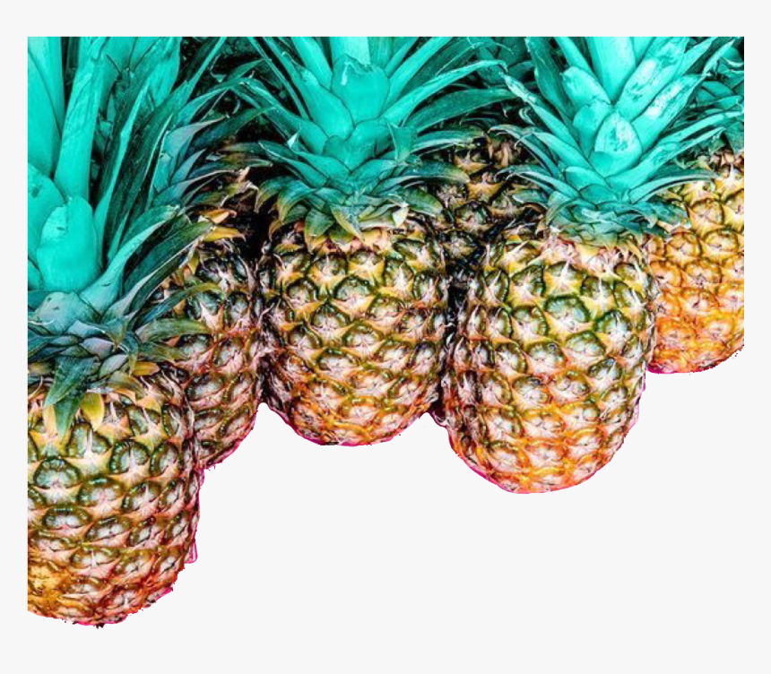 #pineapple #abacaxi #freetoedit - Very Pretty Backgrounds, HD Png Download