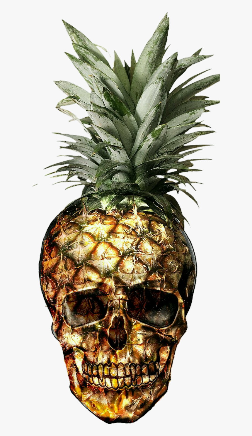 #abacaxi #caveira #engraçado - Skull Pineapple, HD Png Download