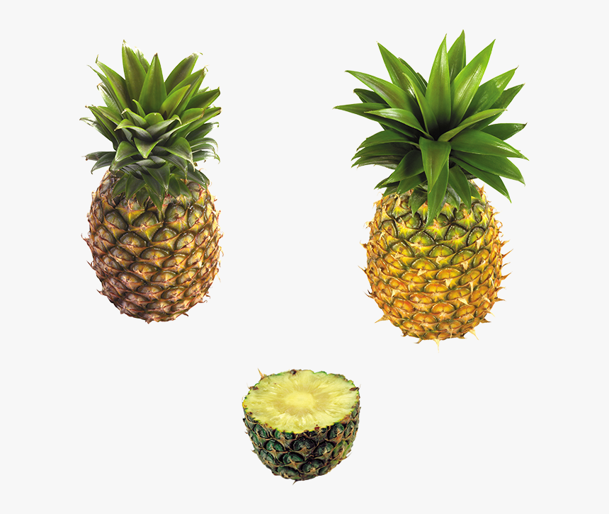 Transparent Abacaxi Png - Ananas Png, Png Download