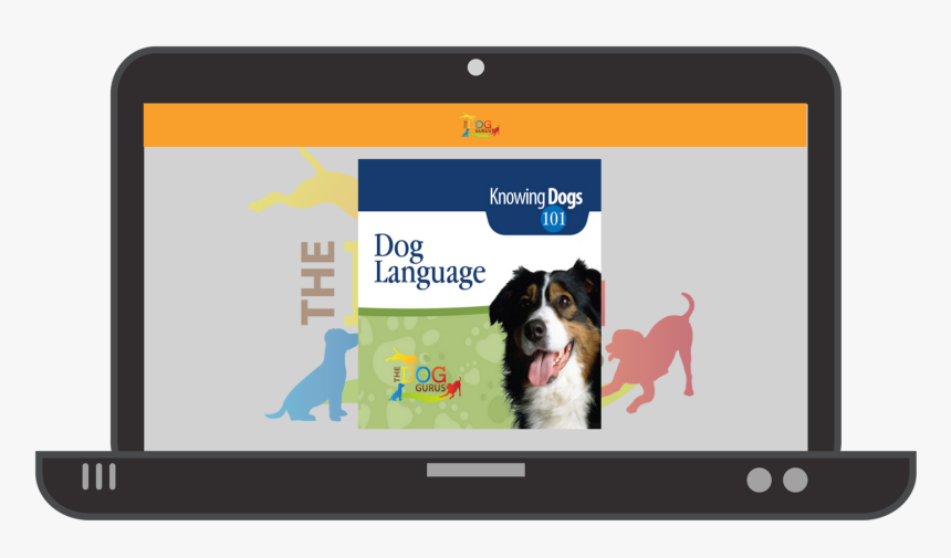 Transparent Dogs Playing Png - Bernese Mountain Dog, Png Download