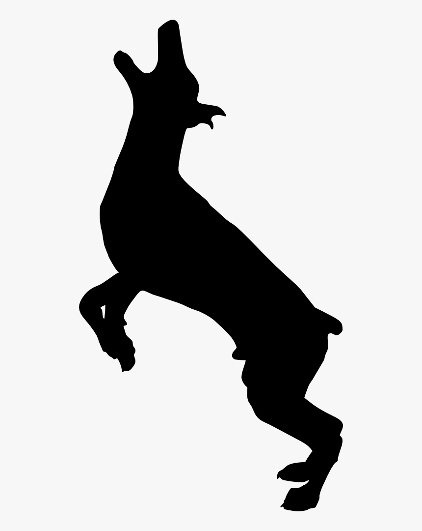 Dog Catches Something, HD Png Download