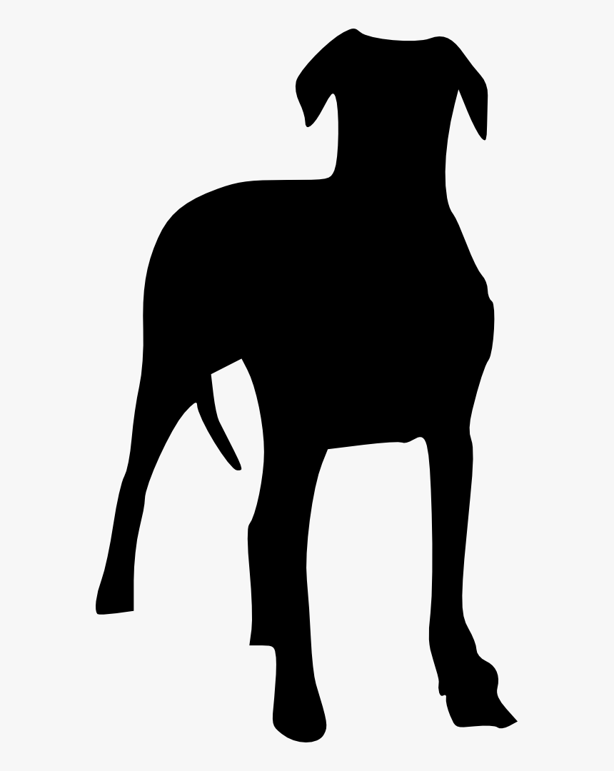 Png Format Dog Png Transparent, Png Download