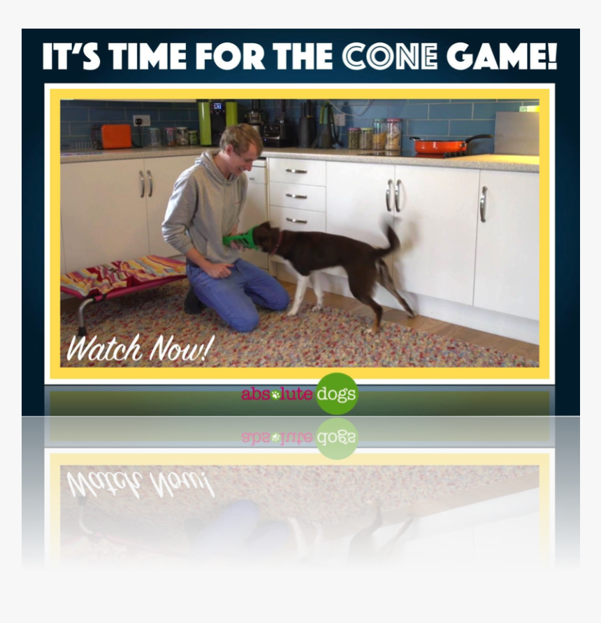 Companion Dog, HD Png Download