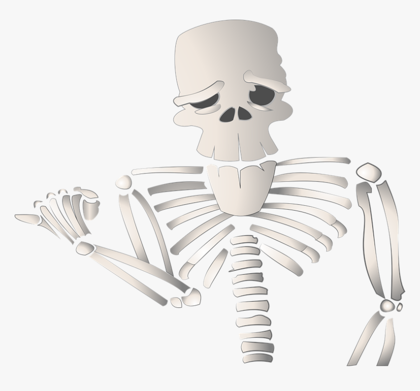 Cartoon Skeleton Png - รูป การ์ตูน โครง กระดูก, Transparent Png