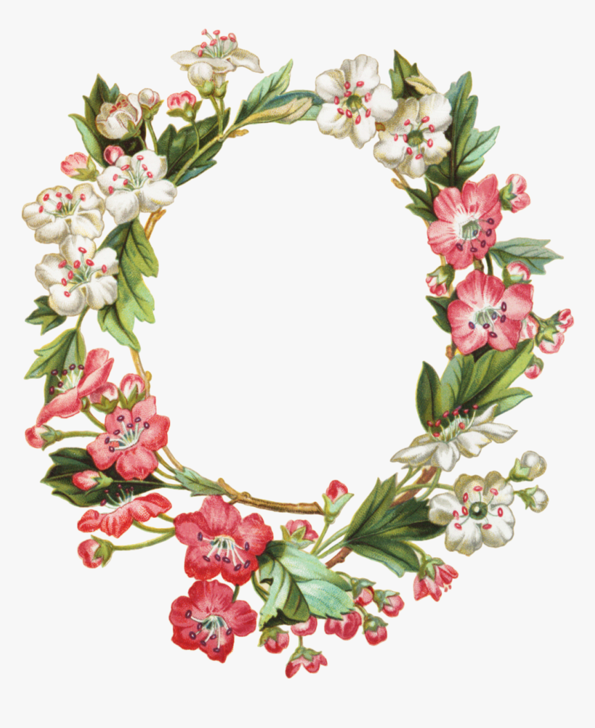 Transparent Apple Blossom Clipart Frames Flowers Hd Png Download Transparent Png Image Pngitem