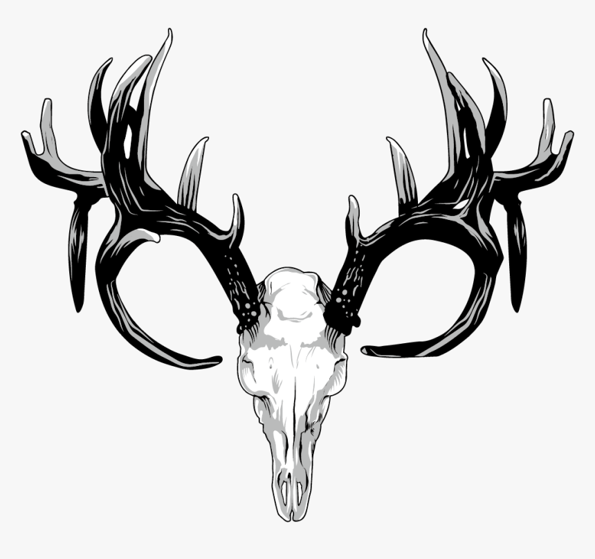 Transparent Deer Antler Clip Art - Deer Antlers Png Transparent, Png Download