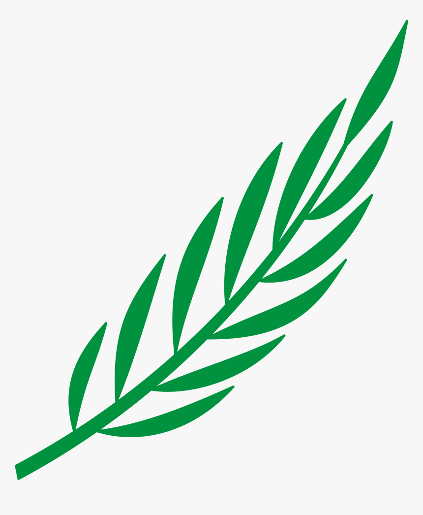 Branch Laurel Leaf Leafy Leaves Png Image - Cape Verde Coat Of Arms, Transparent Png