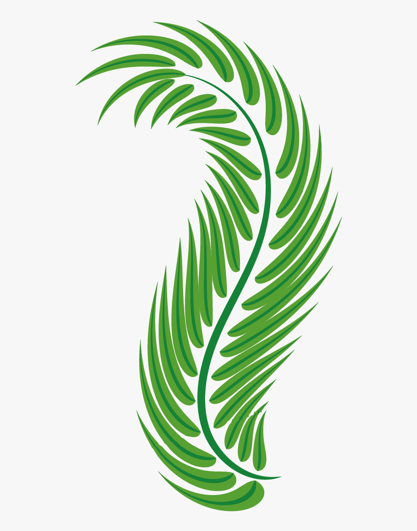 Vector Free Stock Palm Leaf Green Arecaceae Easter - Clipart Palm