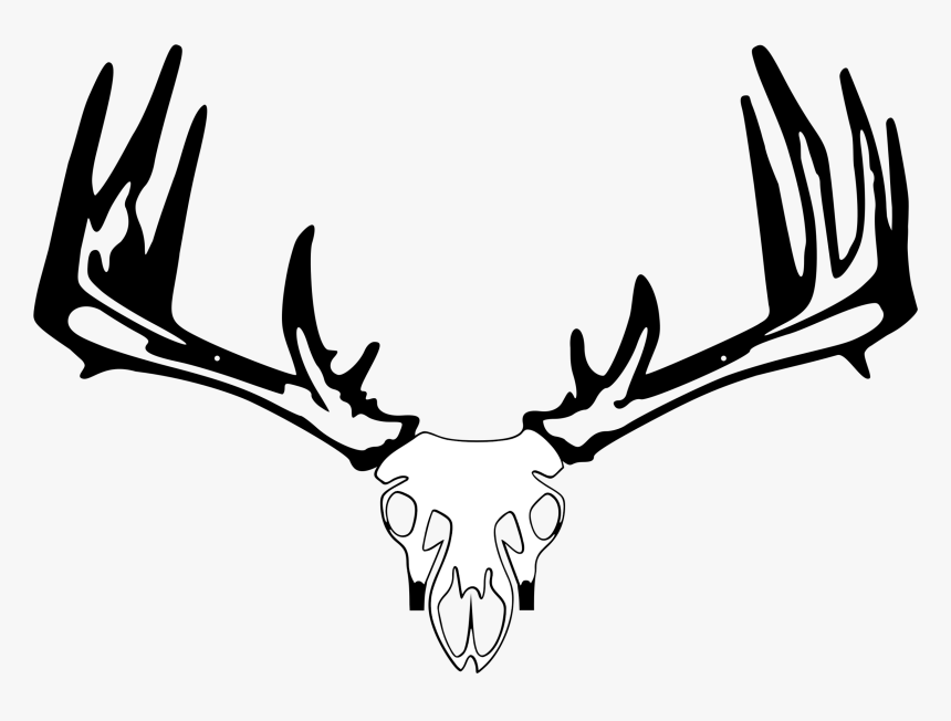Raxx Elite Bow Holder, HD Png Download