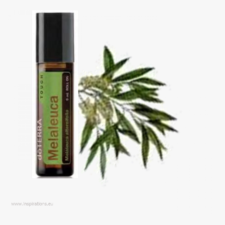 Doterra Tea Tree Touch, HD Png Download