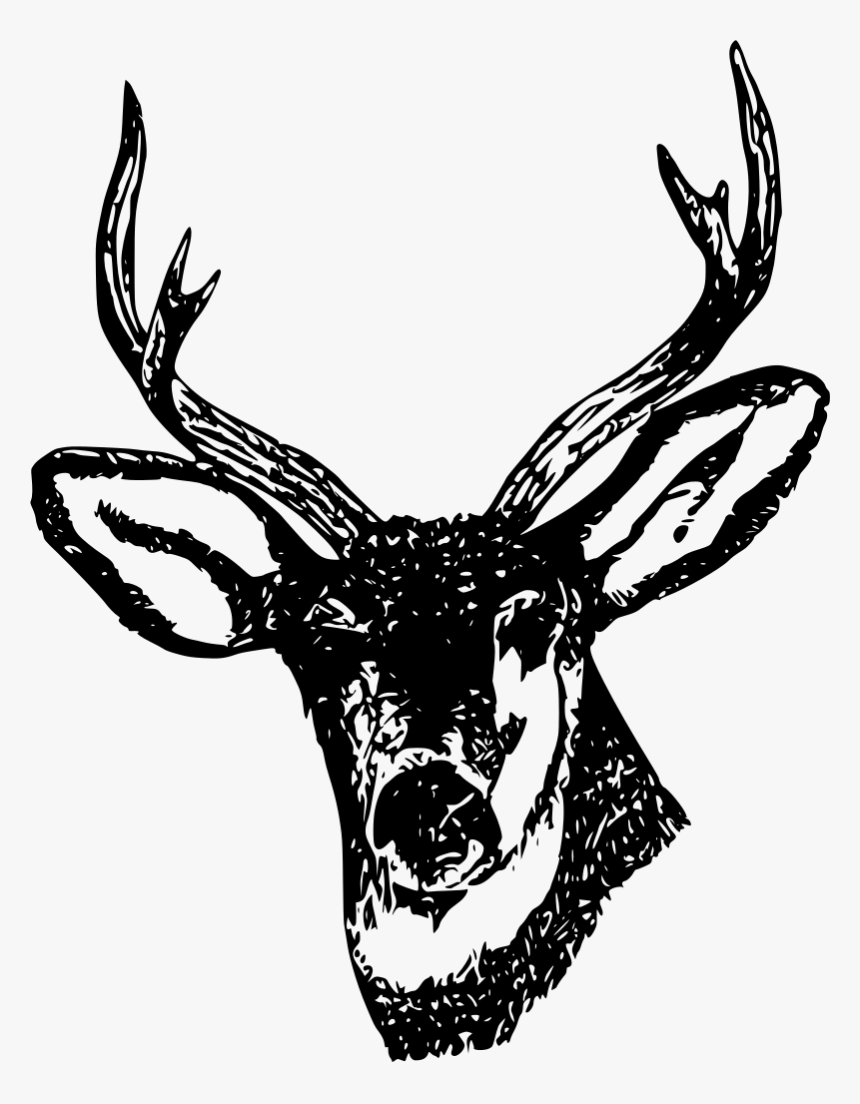 Deer Green Stag, HD Png Download