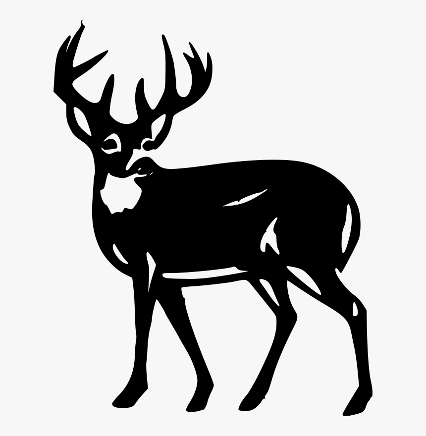 White Deer Silhouette At Getdrawings - Pittman Robertson Act, HD Png Download