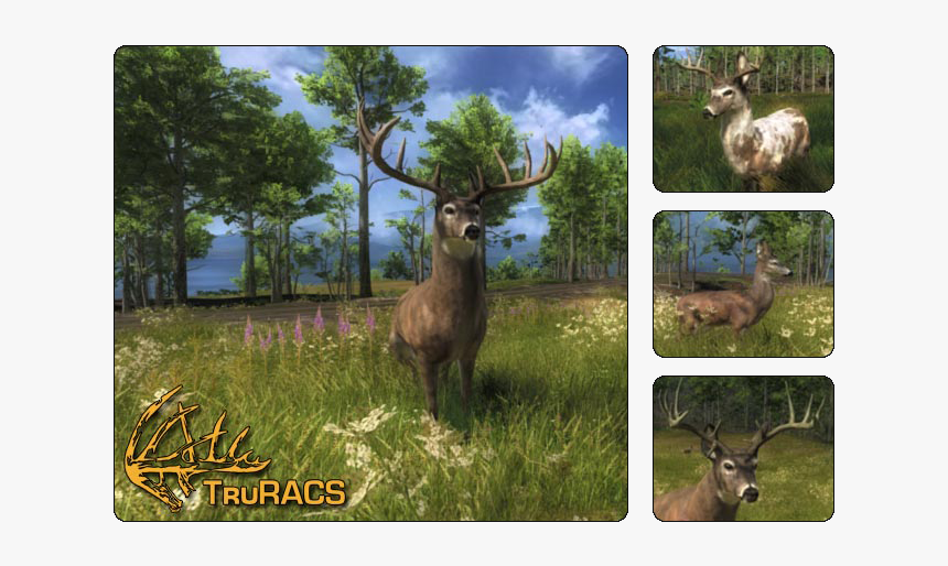 Thehunter Wikia - Elk, HD Png Download