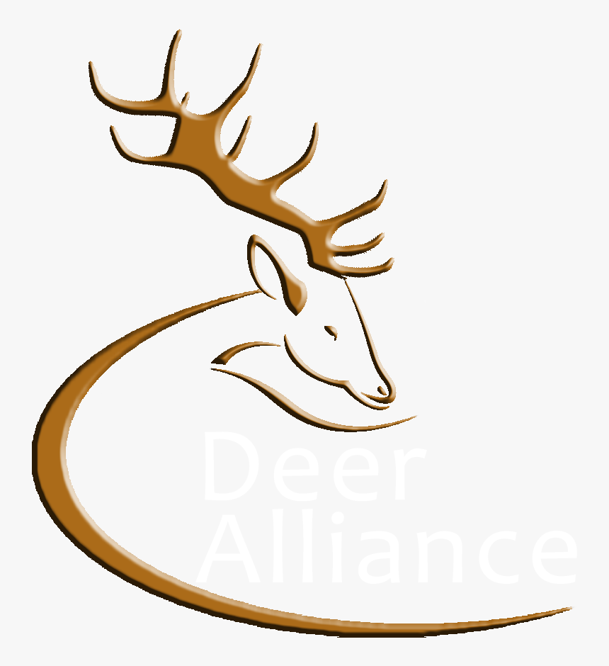 Deer Alliance - Irish Stag Logo, HD Png Download