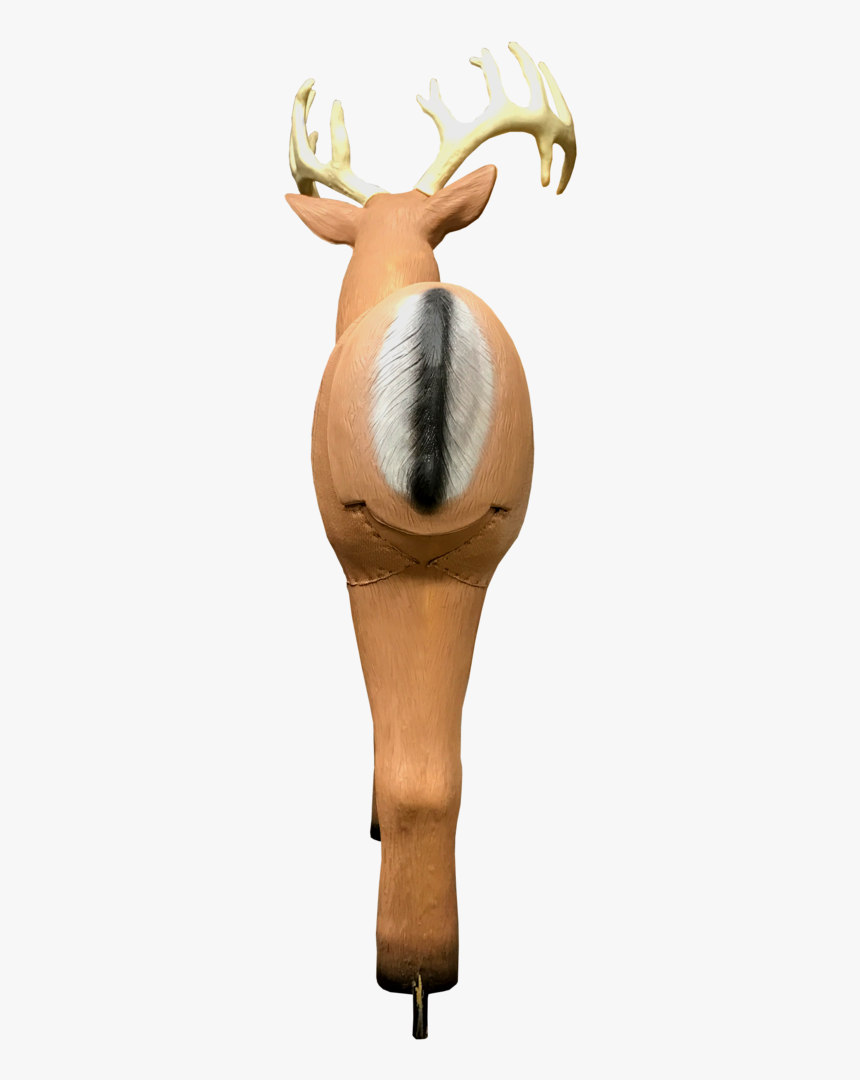 Bionic Buck Iii Field Point Classic 3d Archery Target - Reindeer, HD Png Download