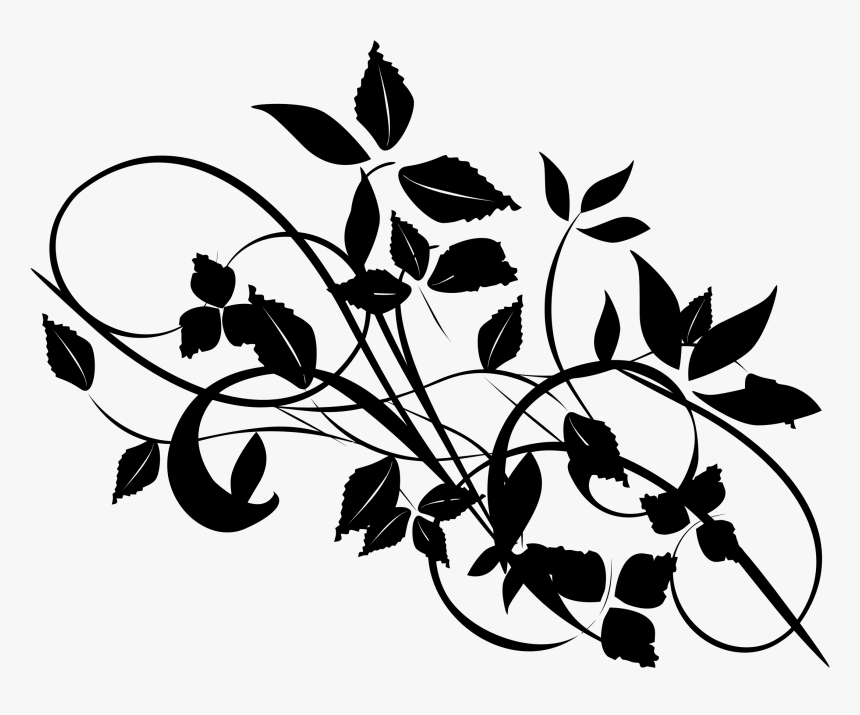 Plant,flower,leaf - Leaves And Branches Silhouette, HD Png Download