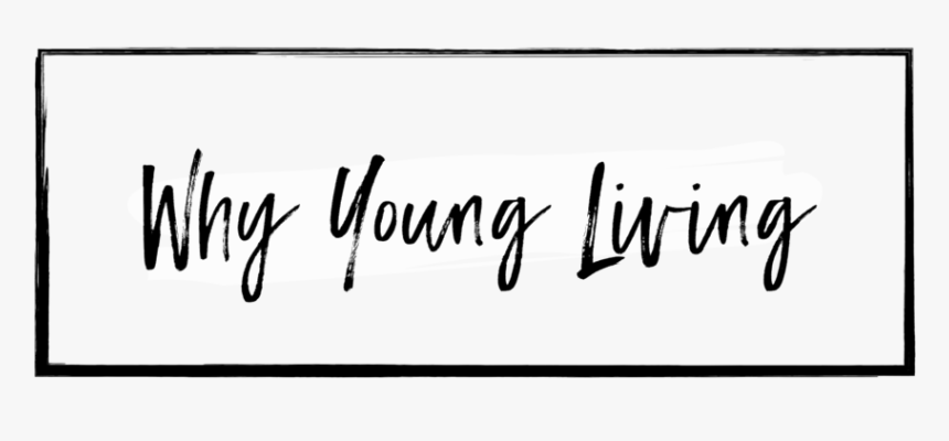 Best Essential Oils Brand Young Living Vs Doterra - Calligraphy, HD Png Download