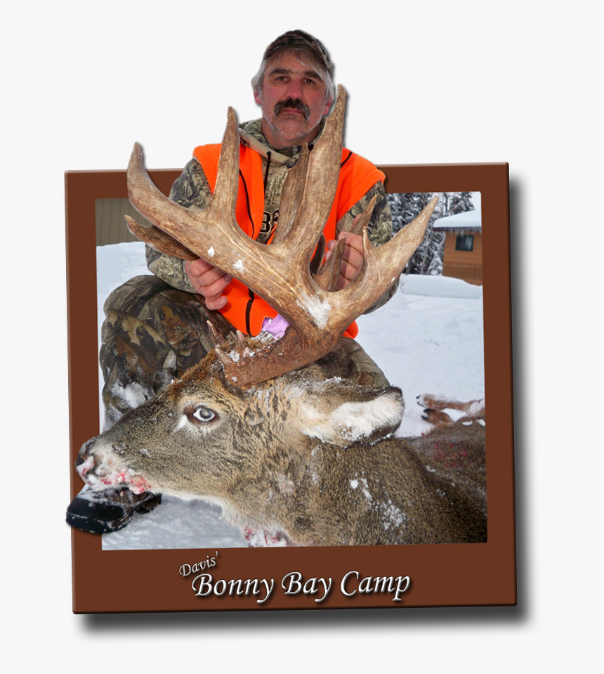 Elk, HD Png Download