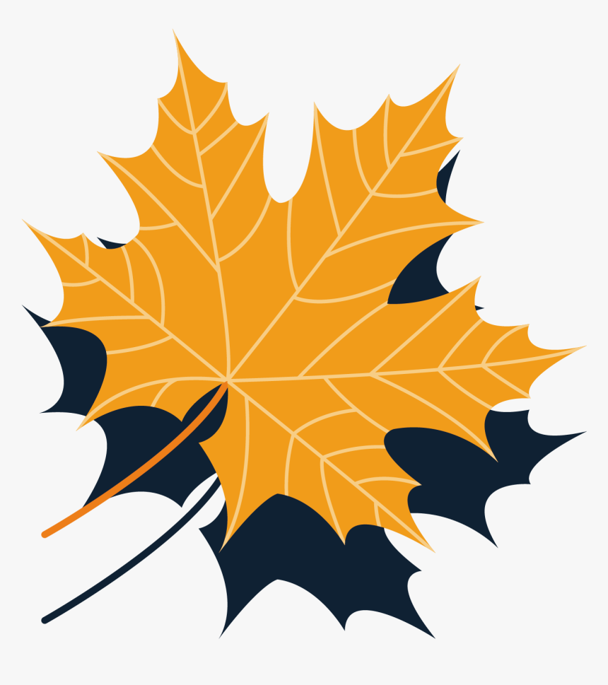 Maple Leaf Autumn - Leaf, HD Png Download