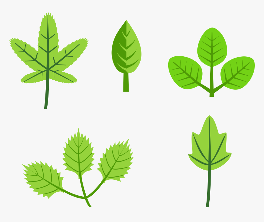 Set Of Leaves Clip Arts - Leaves Clip Art, HD Png Download