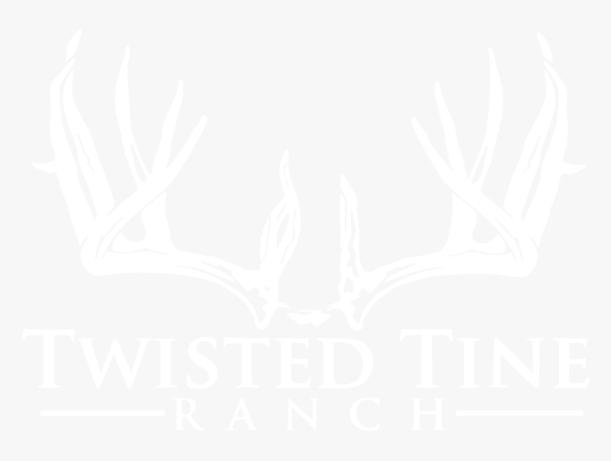 Texas Deer Hunts - Fit N Fine Indore, HD Png Download