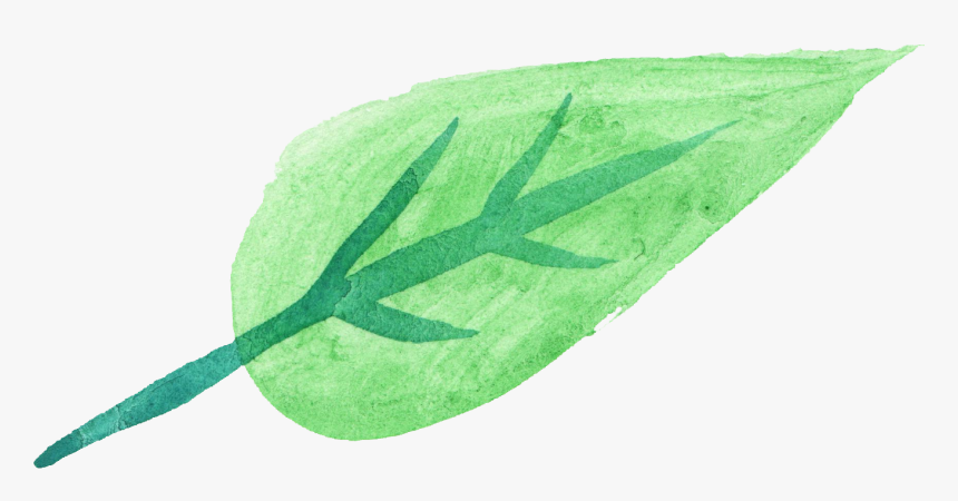 Watercolor Green Leaves Transparents, HD Png Download