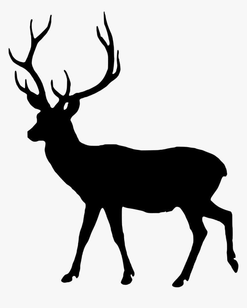 Silhouette Fallow Deer Dama Dama Free Picture Deer- - Lesson Of The Kaibab Graph Answer Key, HD Png Download