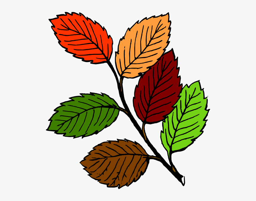 Leaves Line Art, HD Png Download
