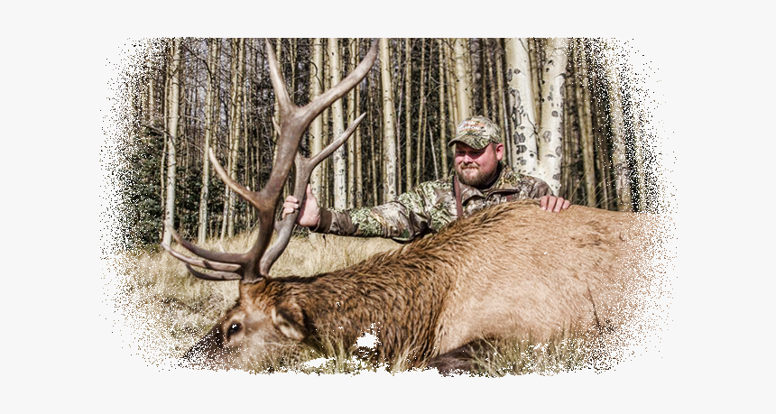 Elk, HD Png Download