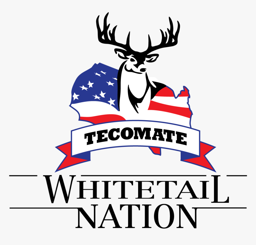 Image - Design, HD Png Download