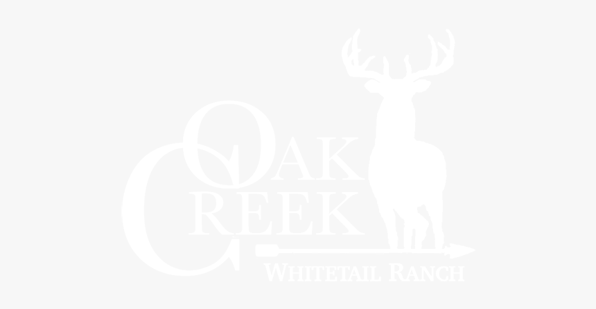 Oak Creek Whitetail Ranch - Night Life Of Trees, HD Png Download