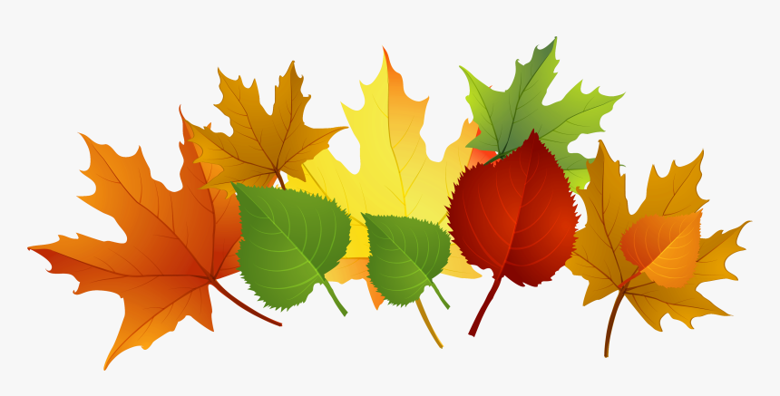 Leaf Fall Leaves Clip Art Free Vector For Free Download, HD Png Download