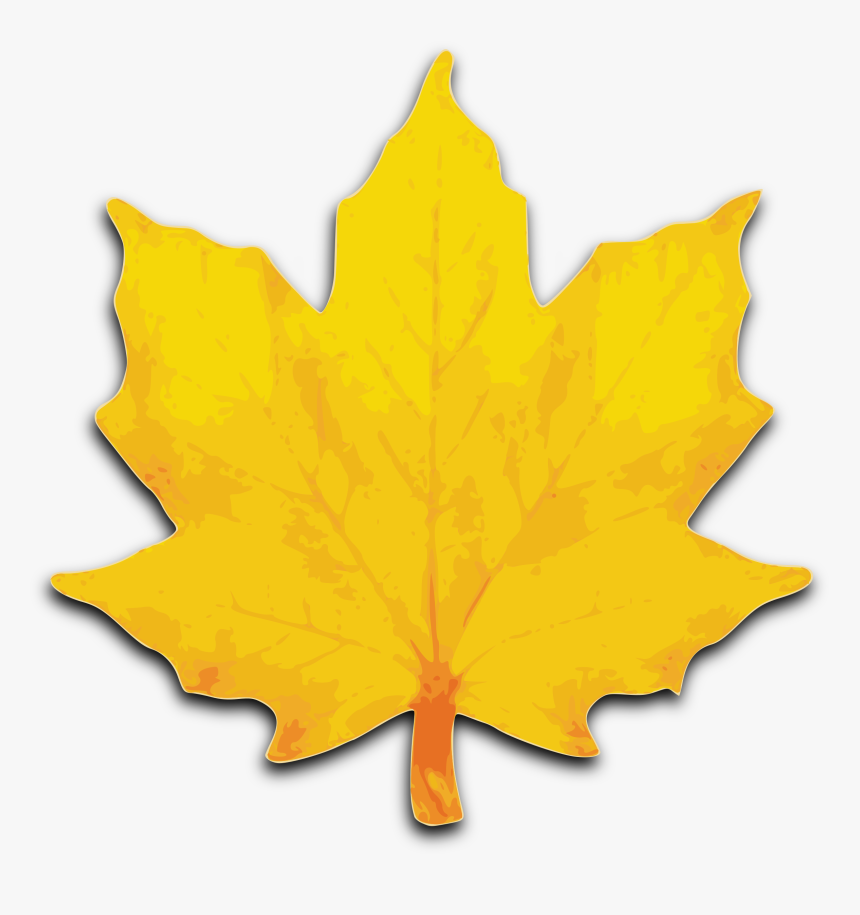 M Leaf Big Image - Maple Leaves Clip Art, HD Png Download