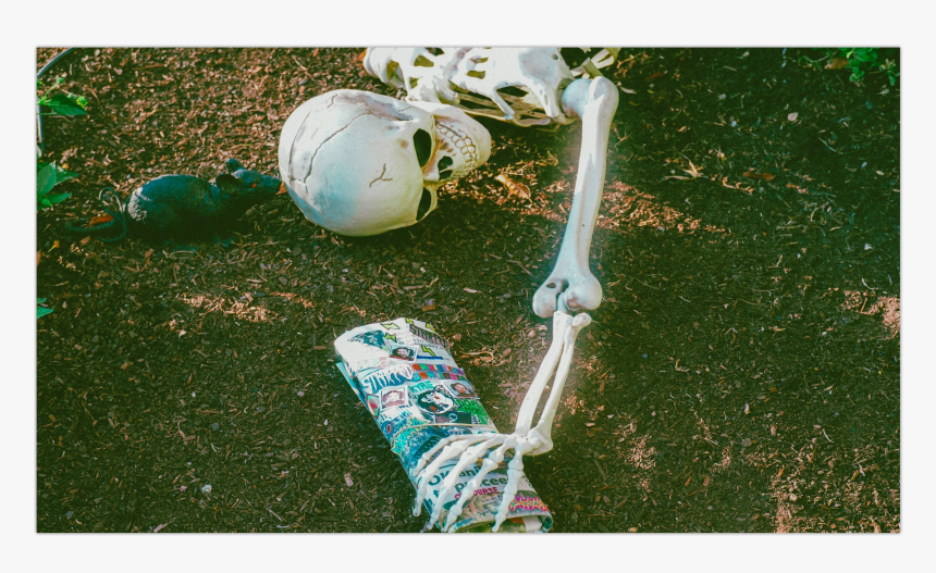 Grass, HD Png Download