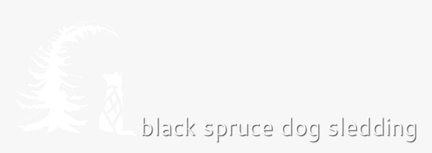 Black Spruce Dog Sledding - Darkness, HD Png Download