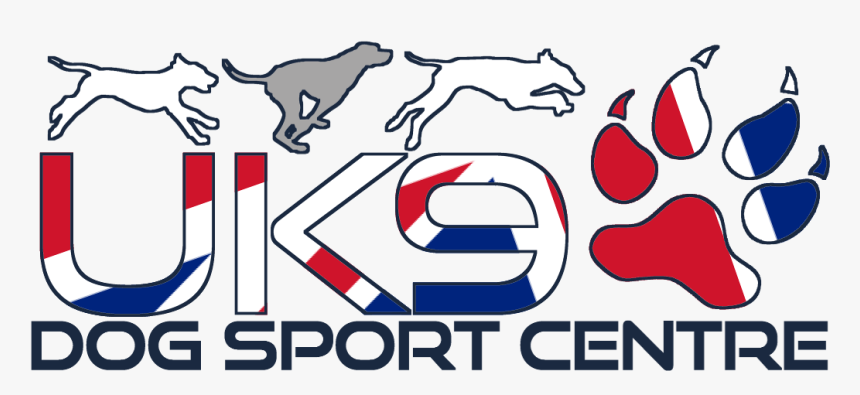 Husky Rides In The Uk Dog Sledding Experiences, HD Png Download