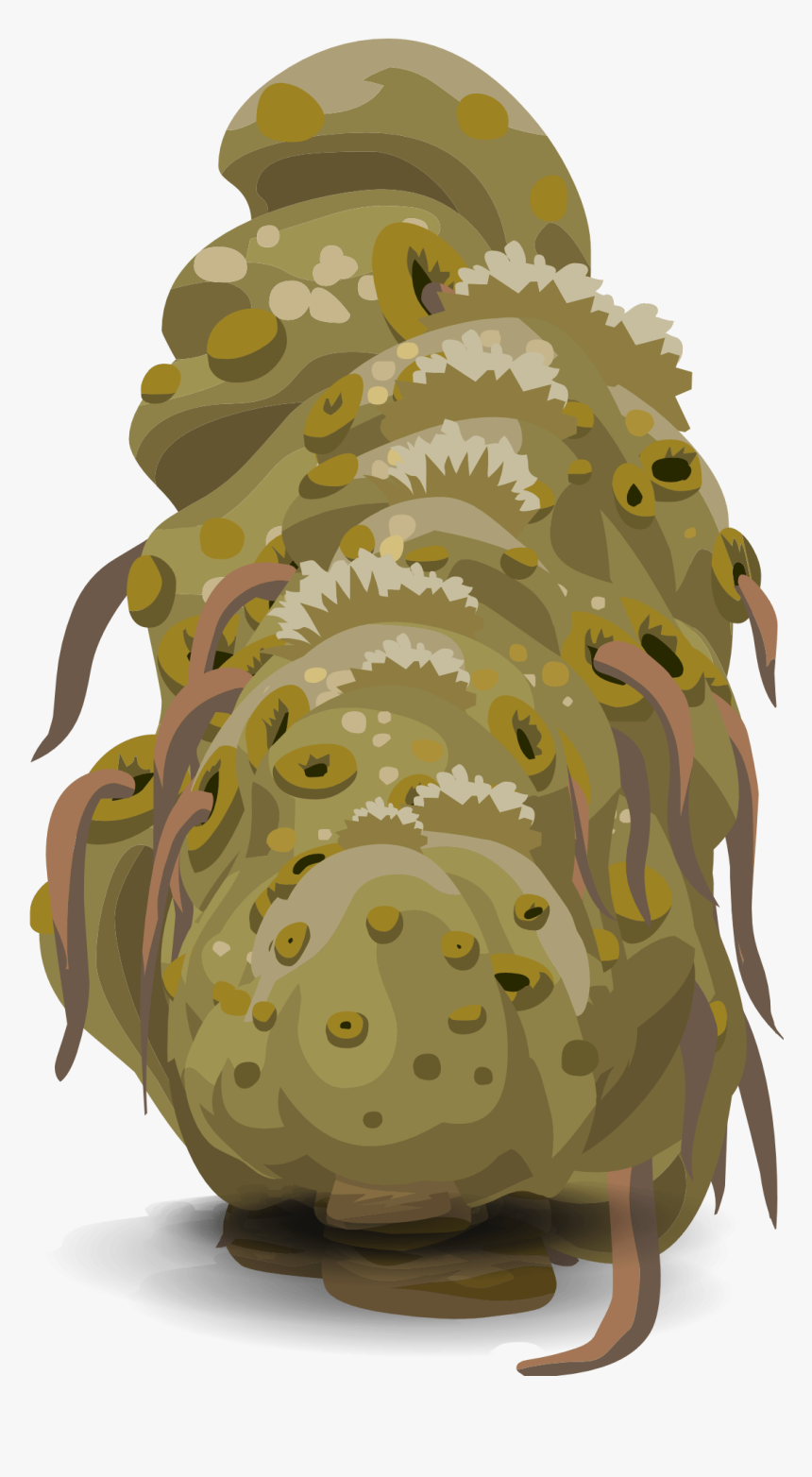 Plant-576809 - Illustration, HD Png Download