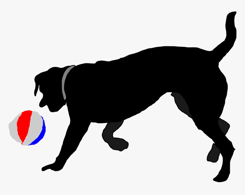Transparent Running Dog Png - Dog Chasing Ball Clipart, Png Download