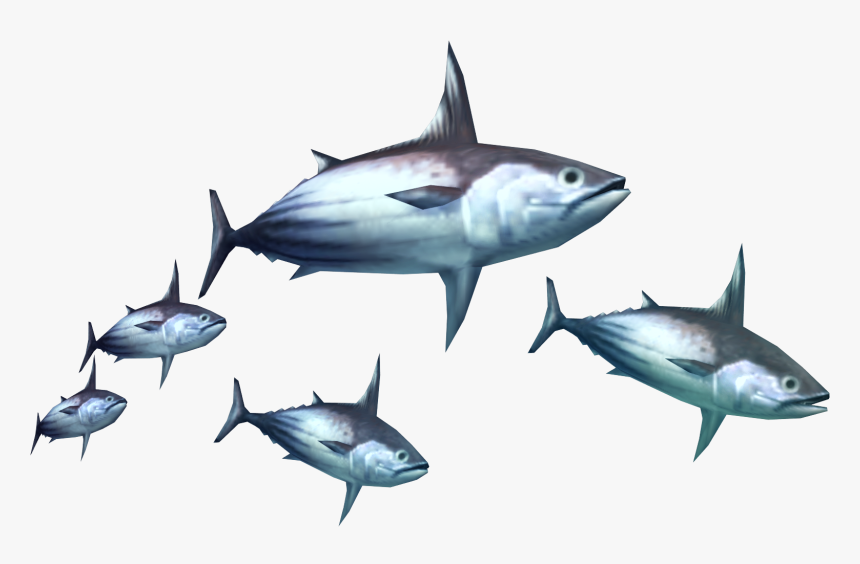 Tuna Clipart Fish Meat - Monster Hunter Tri Monster, HD Png Download