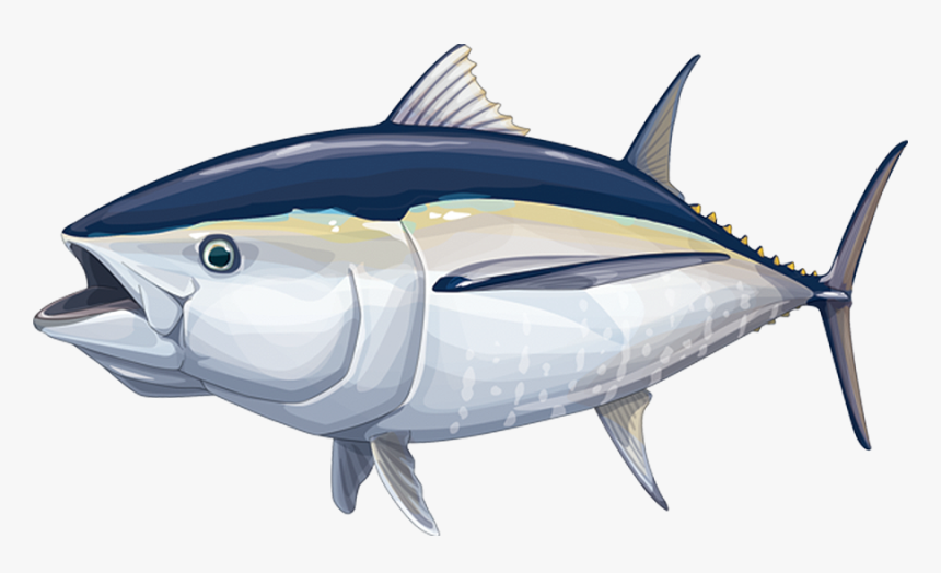 Tuna, HD Png Download