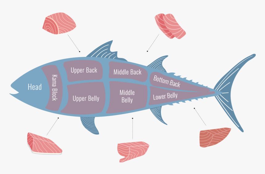 Tuna Cuts, HD Png Download