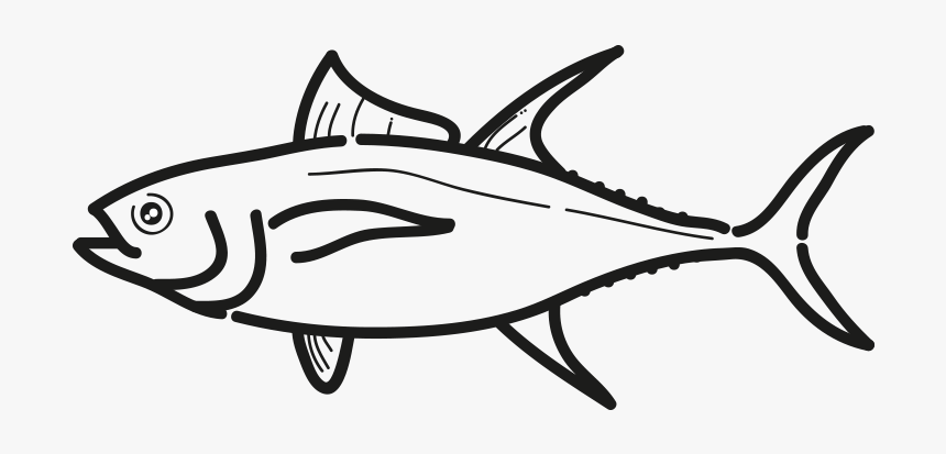 Yellowfin Tuna - Atlantic Bluefin Tuna, HD Png Download